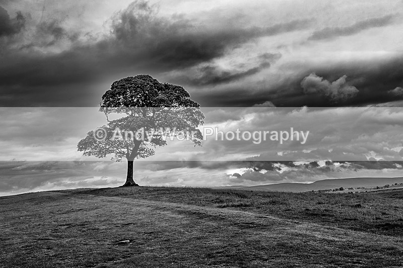 20140525-3K8A1719-2980 - England