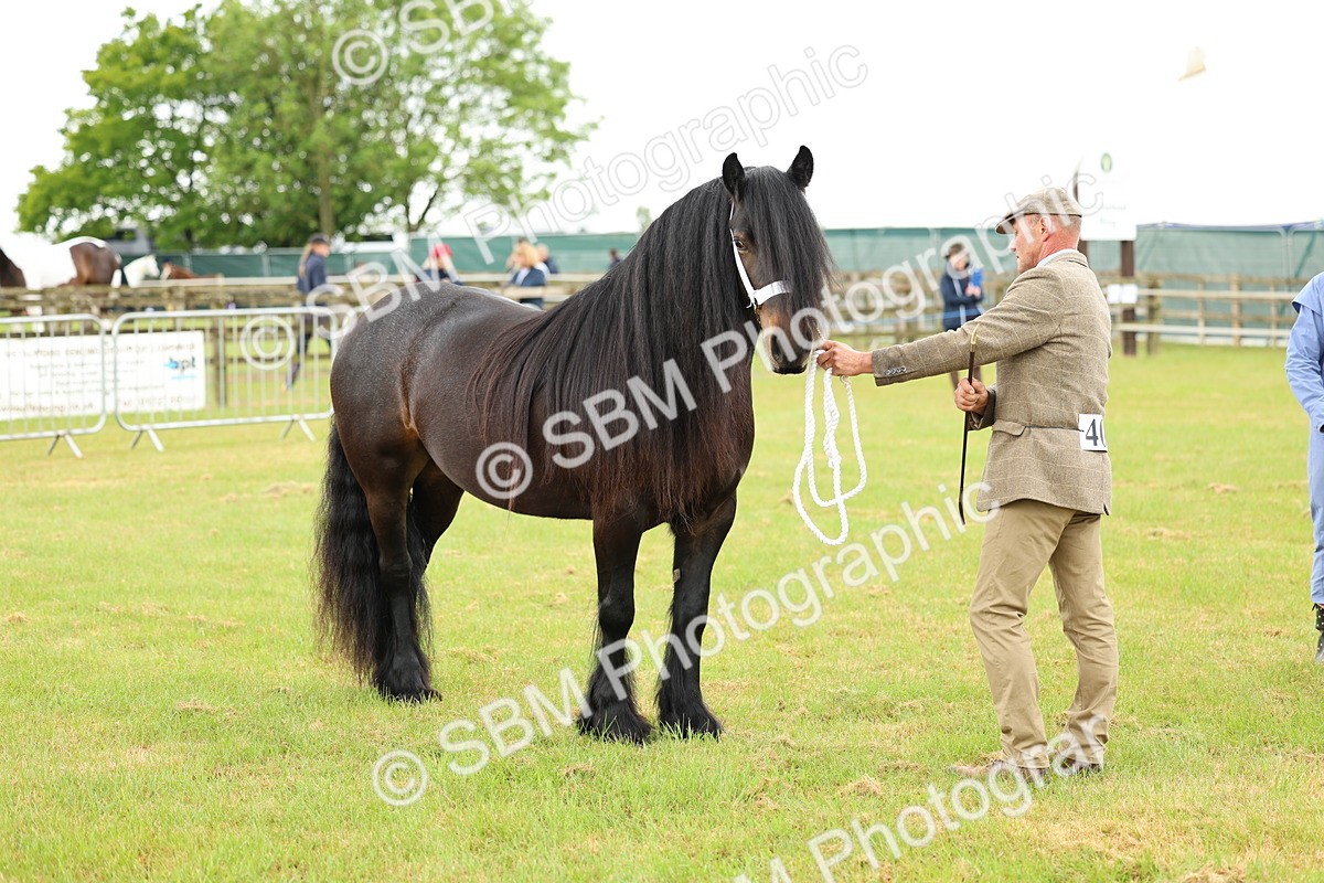 SBM_00513 - Class 58-67 - M&M Non Welsh Pony In hand
