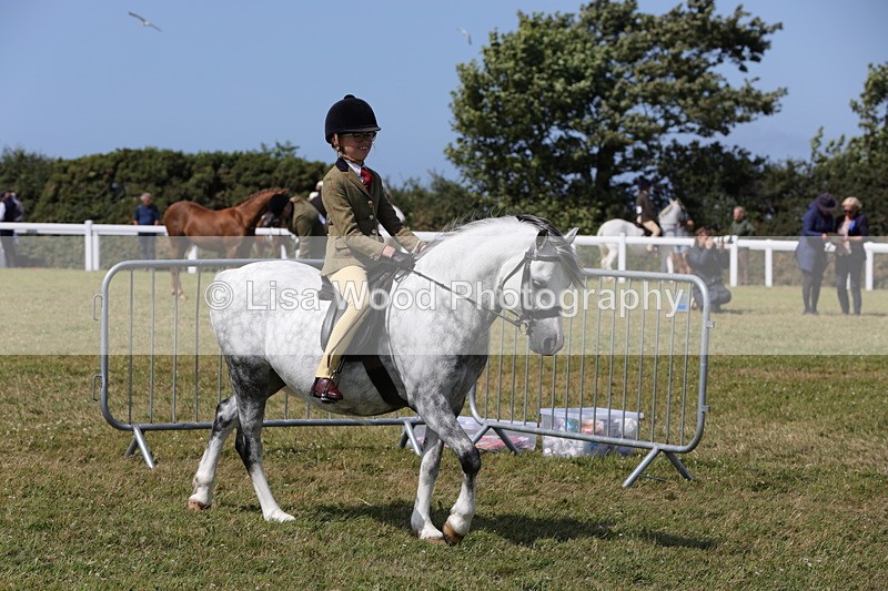 1X9A5325 - Class 37: NPS M&M First Ridden