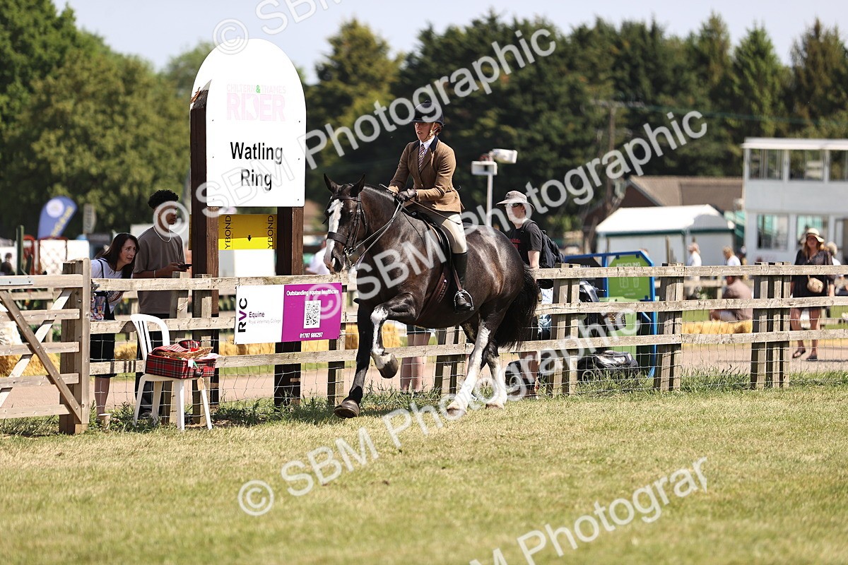 SBM_17870 - Class 81-83 - TSR Ridden Amateur of the Year - Horses