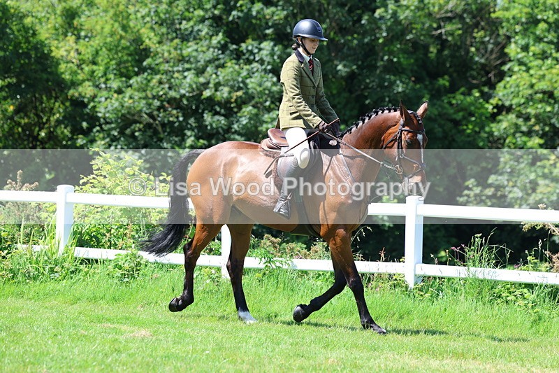 3E7A7163 - Class 30: Novice Working Hunter