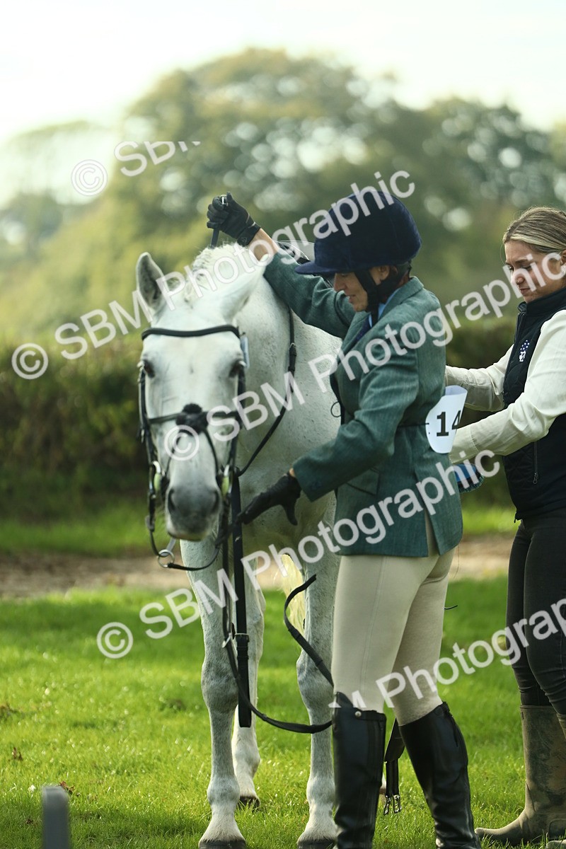 SBM_52151 - S33 - Working Hunter & Working Show Horse