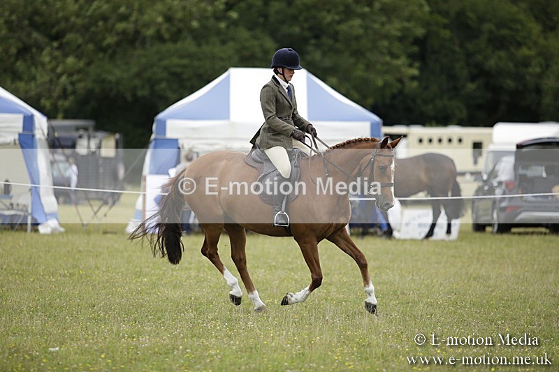 BVR160717-1039 - Ring 1 BVRC Show 16/07/17