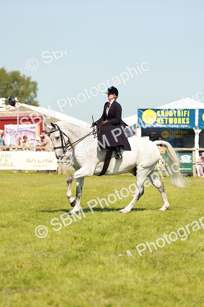 SBM_13335 - Class 70-71 - Side Saddle