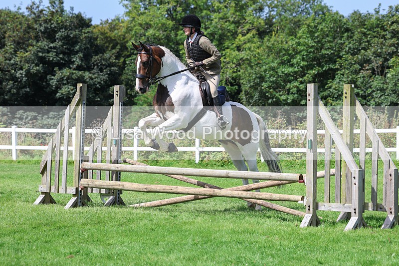 3E7A8598 - Class 5: Working Show Horse