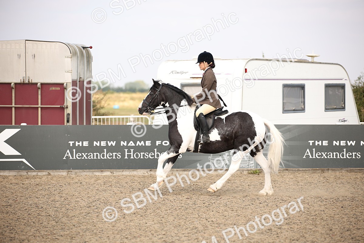 SBM_14975 - Class 408a - Working Veteran 70cm (15-19