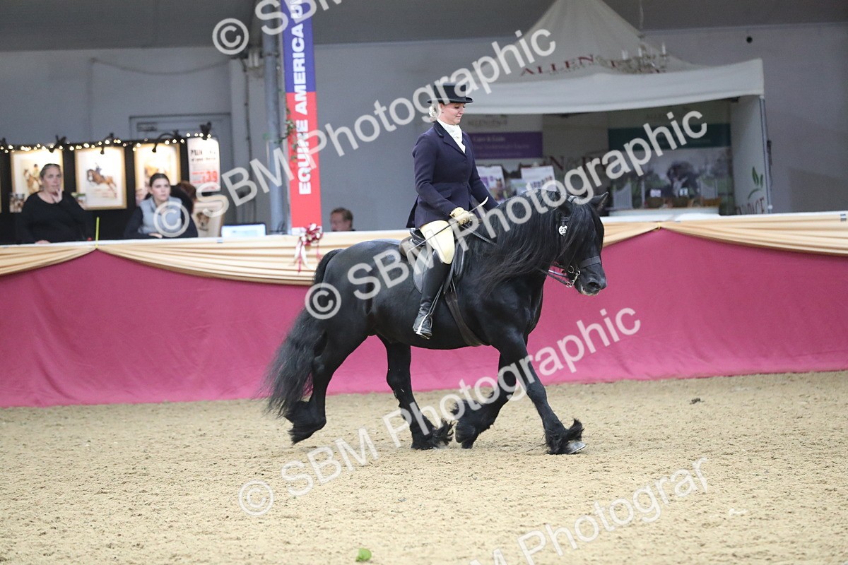 SBM_16422 - Class 502 M&M Ridden Supreme Final