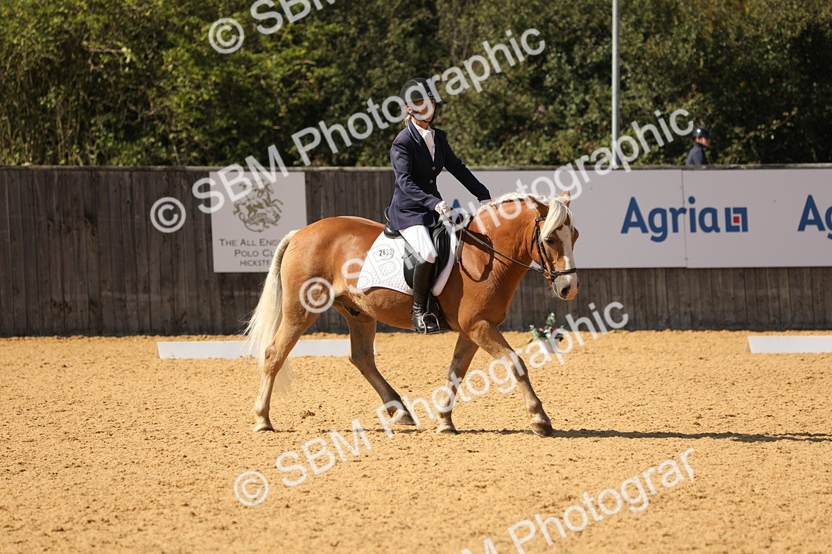 SBM_22404 - D17 - Grand Tour Championship - Novice 27
