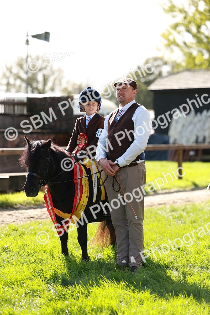 SBM_42167 - S32 - Mountain & Moorland Working Hunter Pony