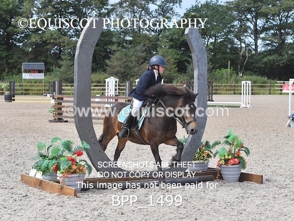 BPP_1499 - DERBY CLASS 3 - 40CM