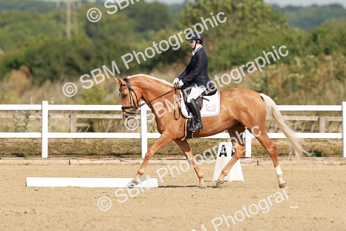 SBM_021092 - Class 12 - P6