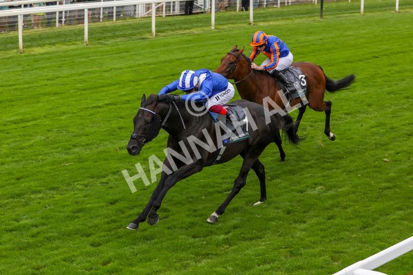 230823-Race 4-Mostahdaf-4290 - Race 4 3.35pm Juddmonte International Stakes