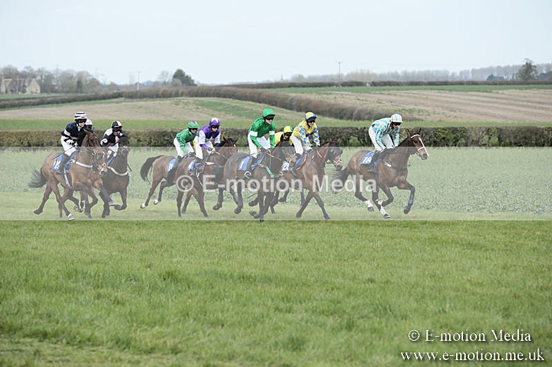 PtP 230319 141 - VWH Hunt Siddington Point-to-Point Racing 23/03/19
