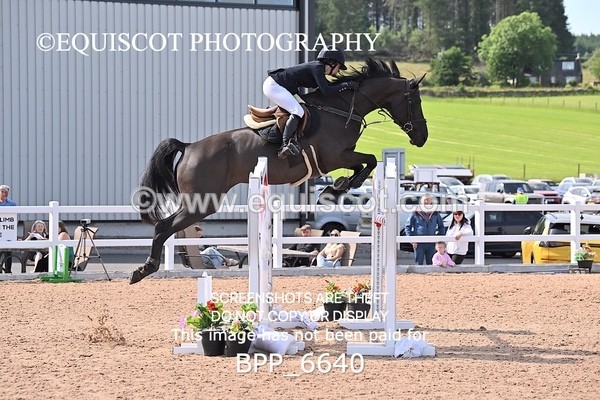 BPP_6640 - CLASS 13 FRI HOYS Talent Seeker Qualifier Inc 7 Year Old Horse Championship Qualifier