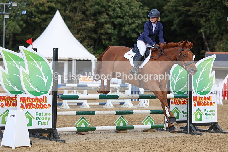 3E7A9073 - Class 9: Senior British Novice/90cm open