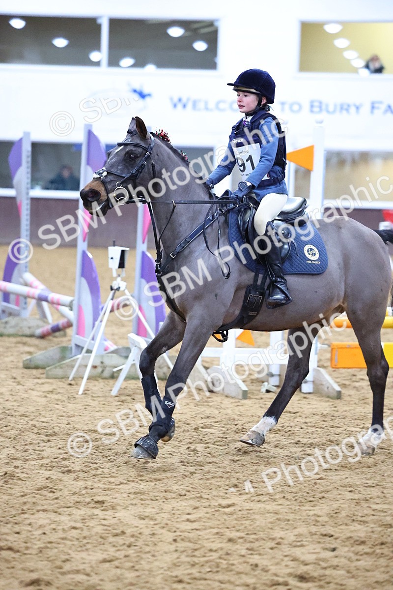 SBM_001283 - Class 3 - Christmas Tree Stakes - 60cm