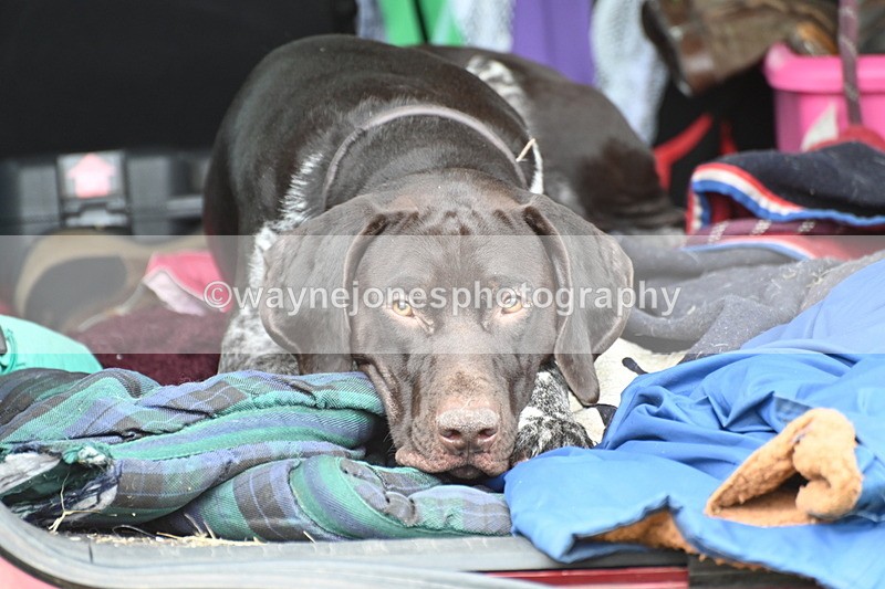 WJ6_4201 - Time at Jump 12:22 to 13:03