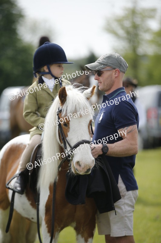 20260426-2172 - Class 9 - Handsomest Gelding