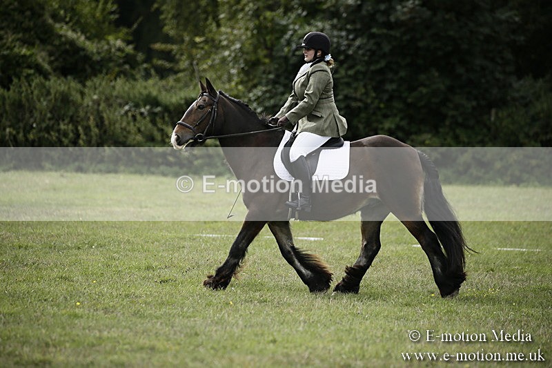 BVR080918 90 - BVRC Novice Dressage & CR 08/09/18