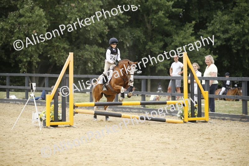 20250622-6193 - 60cm