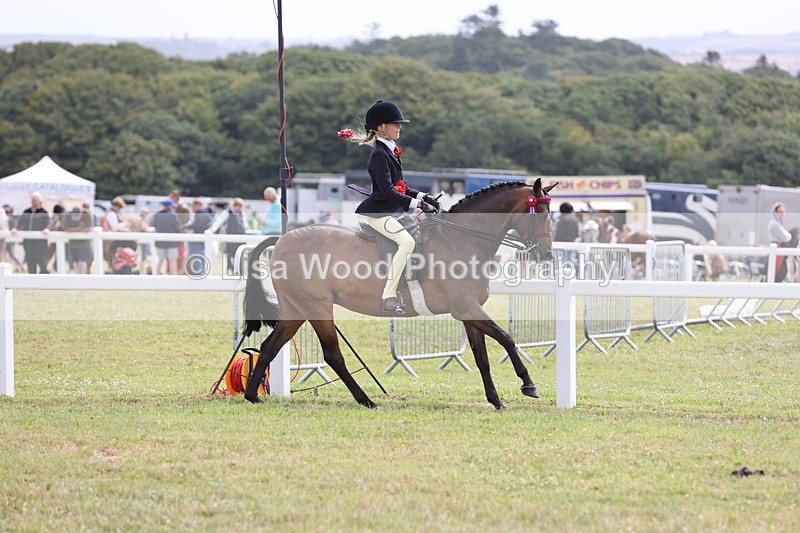 JPP_1597 - Cornish Combination Championship