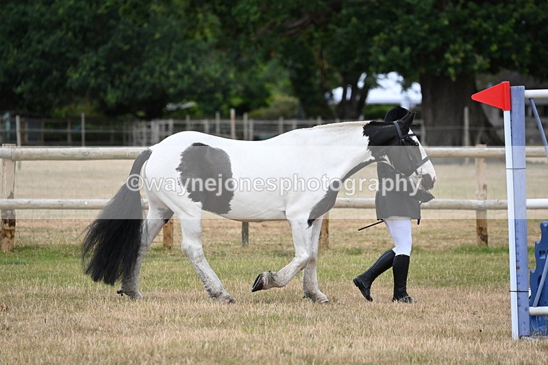 WJ6_4164 - Class 10 Coloured In-hand