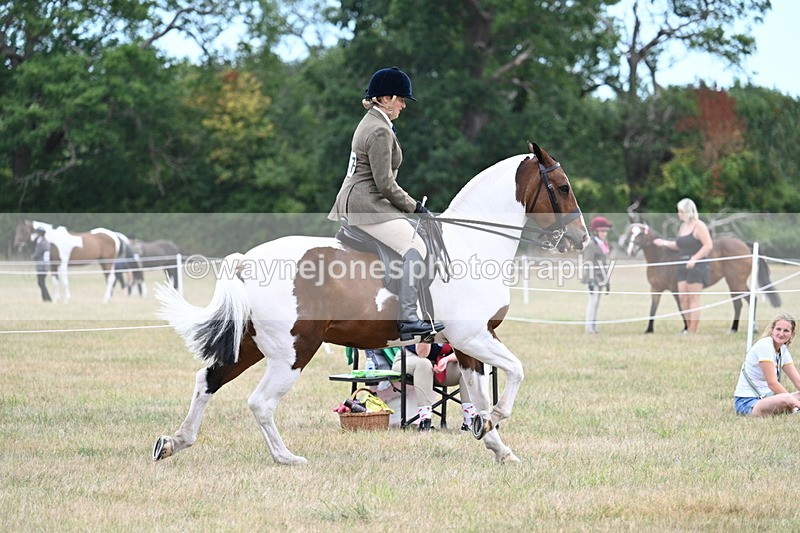 WJ7_4899 - Class 12 Ridden Cob