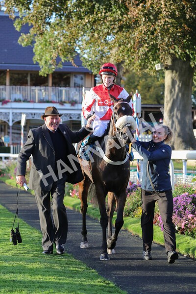 yr07102022r7-41 - Race 7 5.35pm IRE Incentive, It Pays To Buy Irish Stakes