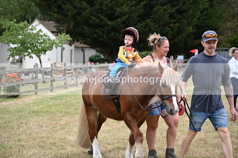WJ6_4809 - Class 11 Fancy Dress