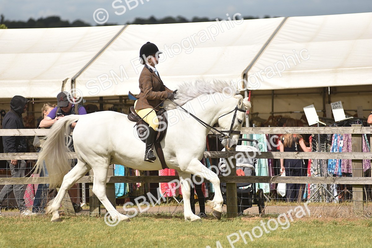 SBM_17705 - Class 122-123 - LIHS BHSA Raising Star Style and Performance Series