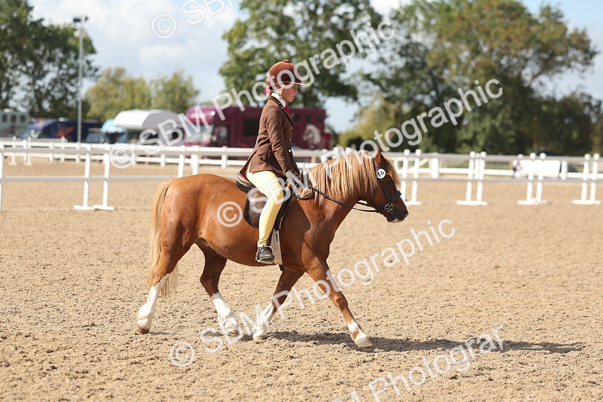 SBM_23243 - Class 807 - young Rider 11 to 16 Years