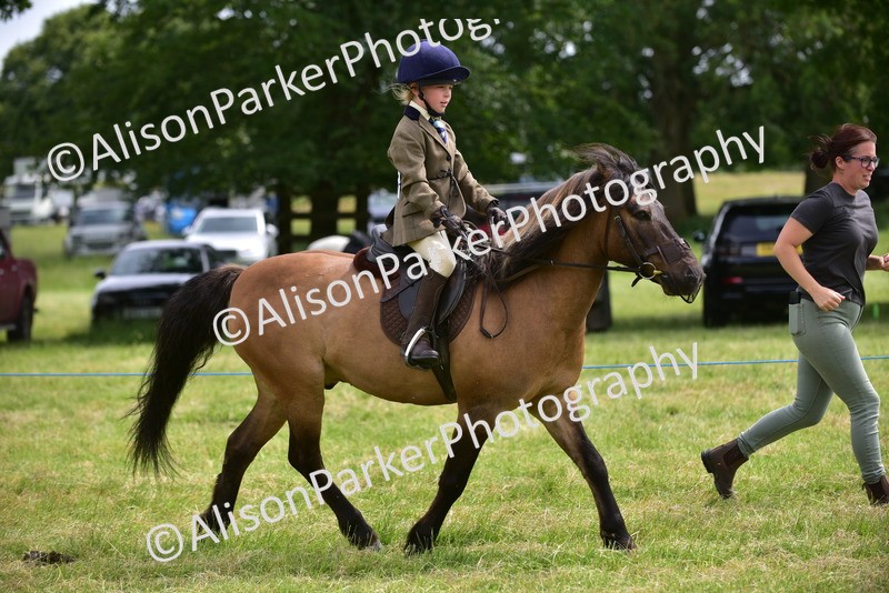 20260614-3991 - Class 16 - Handsome Gelding