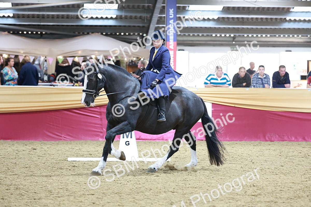 SBM_09932 - Class 61 - Dressage to Music
