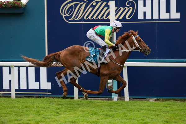 250524-Race 6-Primo Lara-3289 - Race 6 4.30pm Royal Yorkshire Regiment Handicap