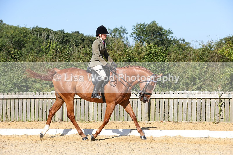 1X9A7856 - Class 10:Riding Horse