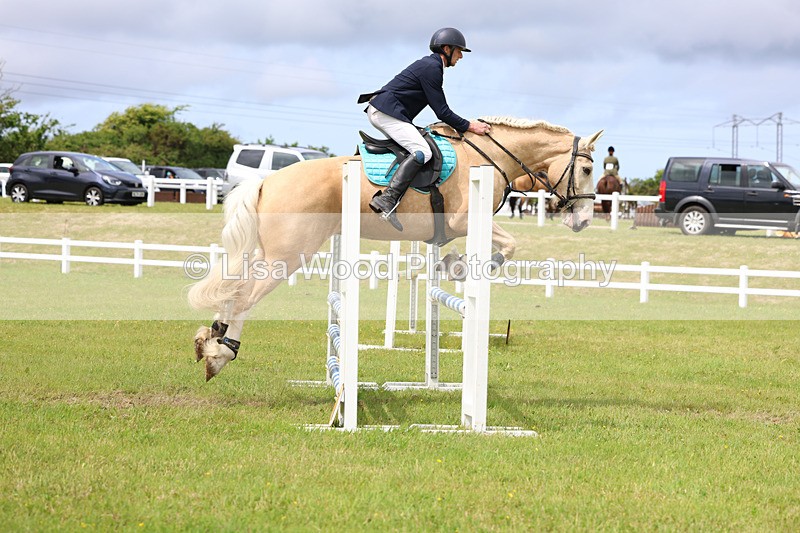 3E7A7717 - Class 13: Senior British Novice/90cm open