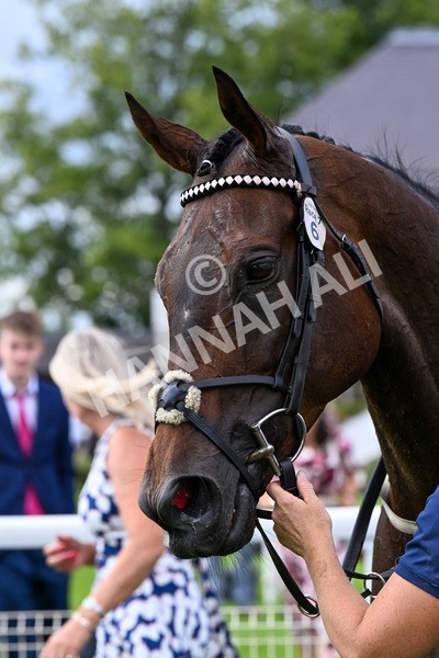 280625-Race 7-Titian-0682 - Race 7 5.25pm Al Basti Equiworld Dubai Amateur Jockeys' Handicap
