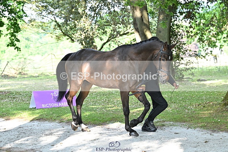 250521A-164335-01300 - C-255-Rupert.Hyde-LEONIDAS.VAN.DE.CRUMELHAEVE