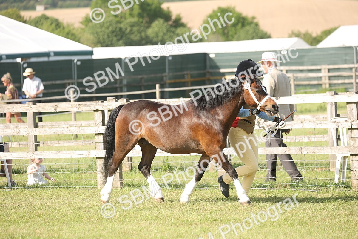 SBM_10304 - Class 33-38 - SSADL RIHS Qualifiers