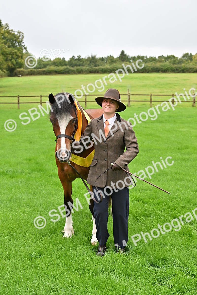 SBM_32657 - S15 - Top Turnout In Hand