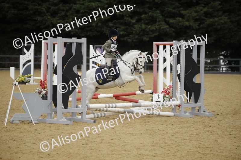 20250622-1459 - 40cm