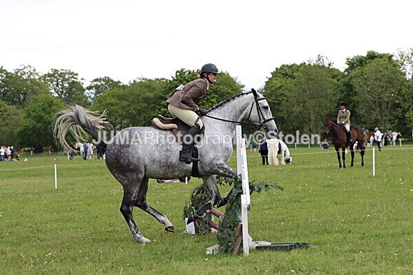 IMG_2765 - Working Hunter