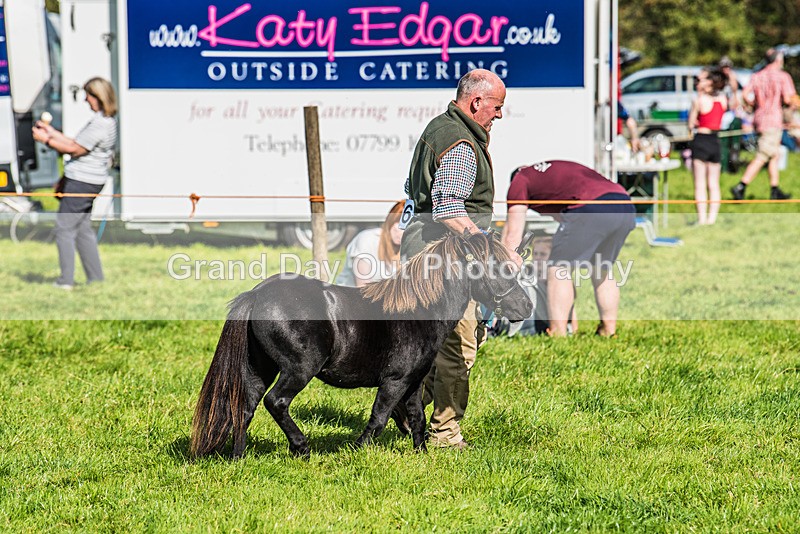 Loweswater Show-23 - Loweswater Show Junior & Senior Fell Races Sunday 3rd September 2023