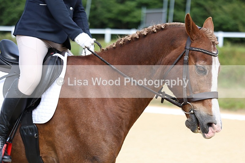 3E7A1123 - Class 1: Intro 2 2024 Section A