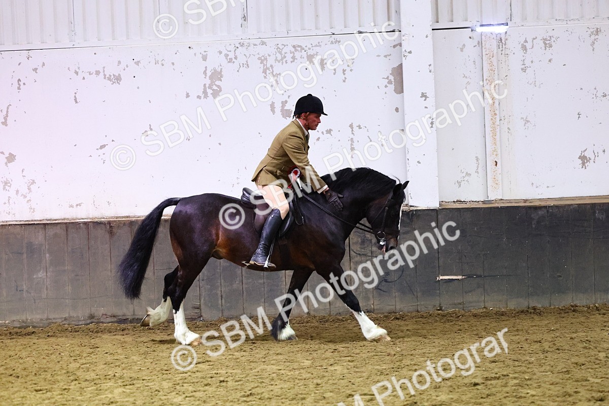 SBM_006715 - Class 43 - RIHS Qualifier Exceeding 43cms