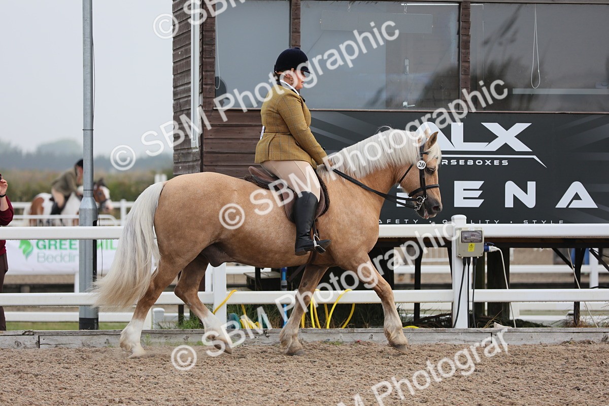 SBM_09995 - Class 302 Ridden M&M -Large Breeds