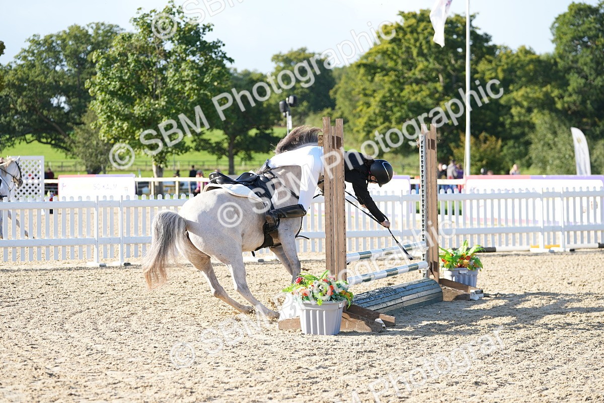 SBM_14337 - J57 - Clear Round 60cm