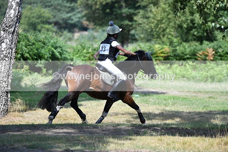 WJ5_2743 - XC Time 11:51 to 12:26