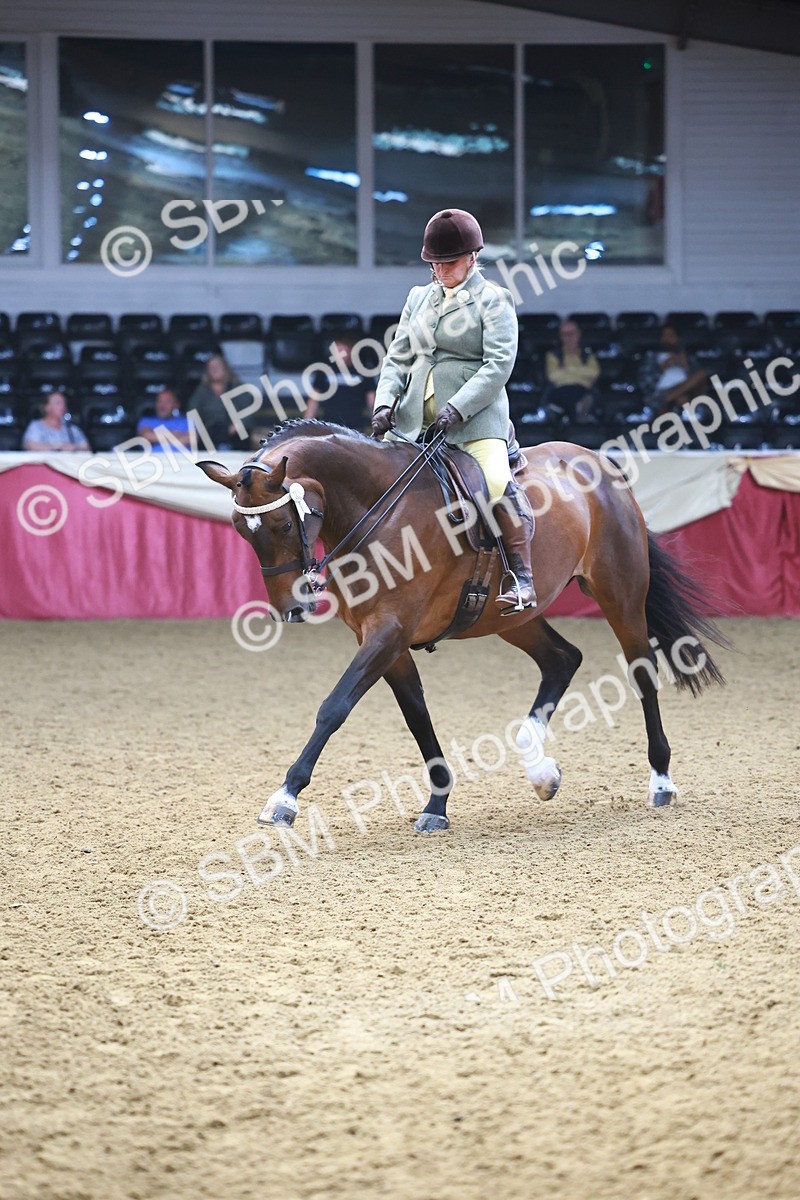 SBM_23376 - class 906 - Supreme Final - Ridden Pre Vet