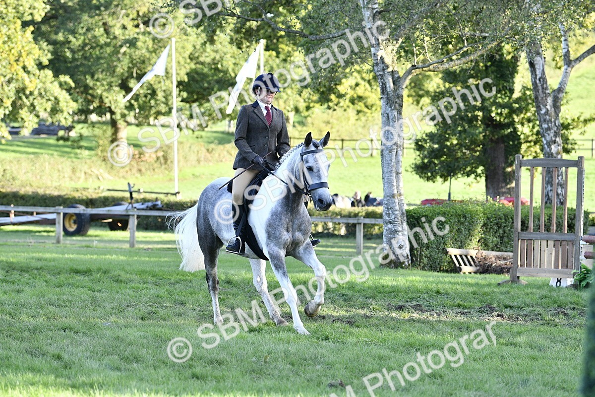SBM_53549 - S14 - Riding Club Horse